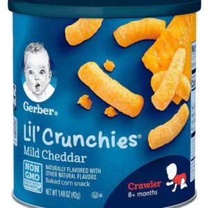 Gerber Baby Food MILD CHEDDAR Infant Cereal for 6 Months + ( 42 gm )