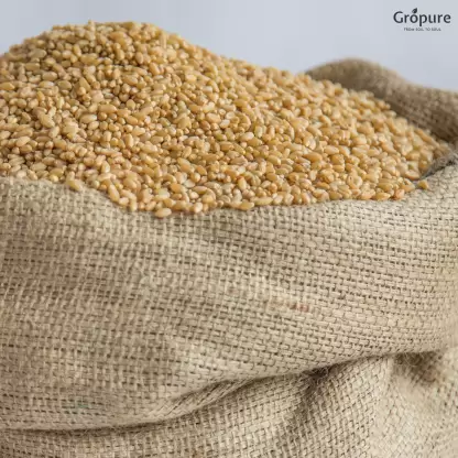 Gropure Organic Wheat Sharbati Whole Wheat (5 kg)
