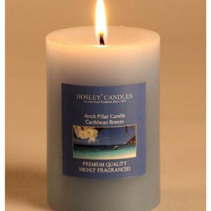 Hosley Blue Pillar Candle - Pack of 1
